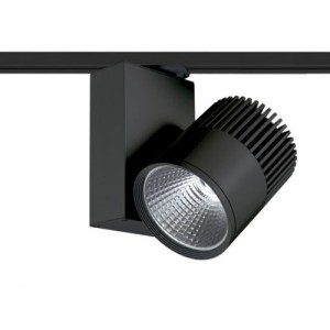 bienal3040b2-1000x1000