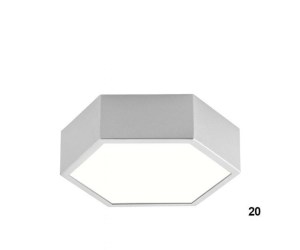 100-01298-20-silver