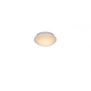 2015156101