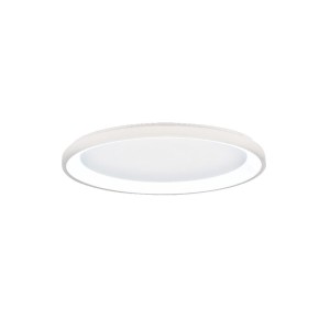 42044-B-White