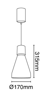 64173-039118_DM