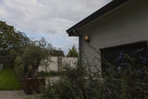 7801604118