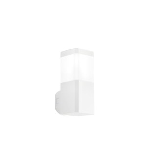 I-FOCUS-Q-AP-BCO
