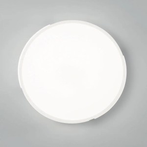 I-PANGEA-PL40-BCO
