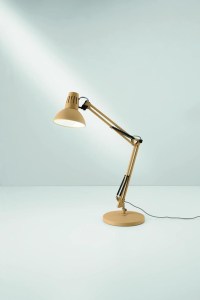 LDT-ARTIFEX-GIA