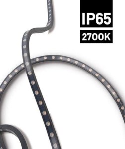 LS17-1